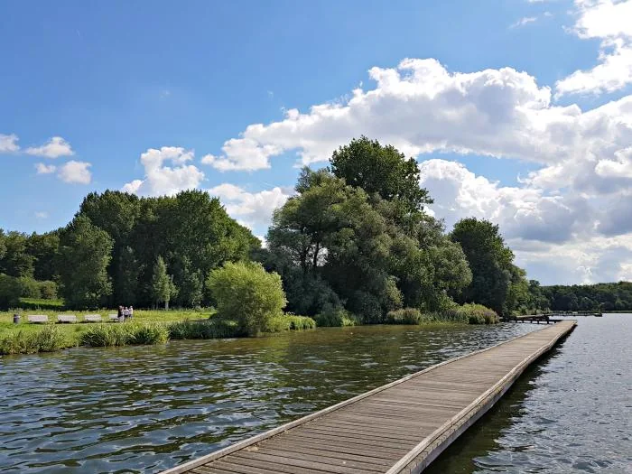 Green Netherlands waterfront